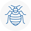 Bed Bug Extermination In Pinxton