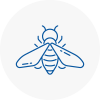 Bee Nest Removal Pinxton