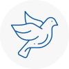 Bird Prevention Pinxton