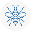Pinxton Hornet Nest Removals