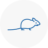 Mice Exterminators In Pinxton