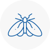 Moth Control Specialists In Pinxton