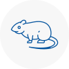 Rat Control Pinxton