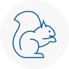 Pinxton Rodent Removals